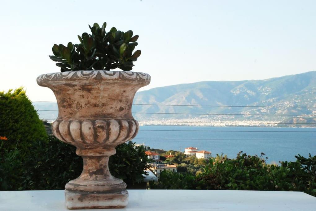 Evelina - Home With View Volos Ngoại thất bức ảnh